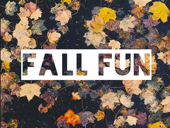 Screen Shot 2018-10-02 at 4.07.56 PM Looking for Fall Fun?
